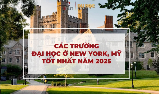 Các trường đại học ở New York